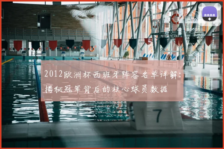 2012欧洲杯西班牙阵容名单详解：揭秘冠军背后的核心球员数据