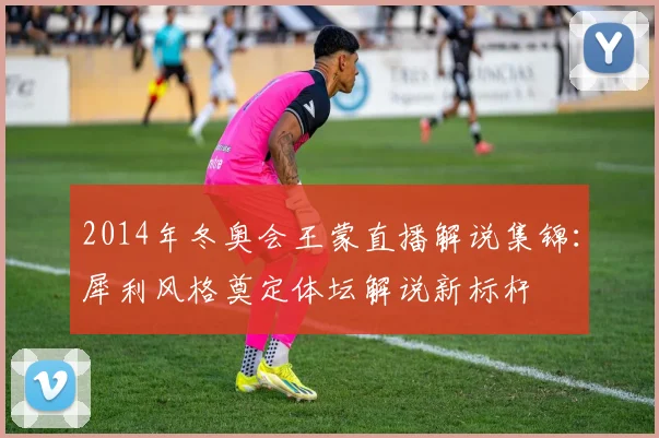 2014年冬奥会王蒙直播解说集锦：犀利风格奠定体坛解说新标杆