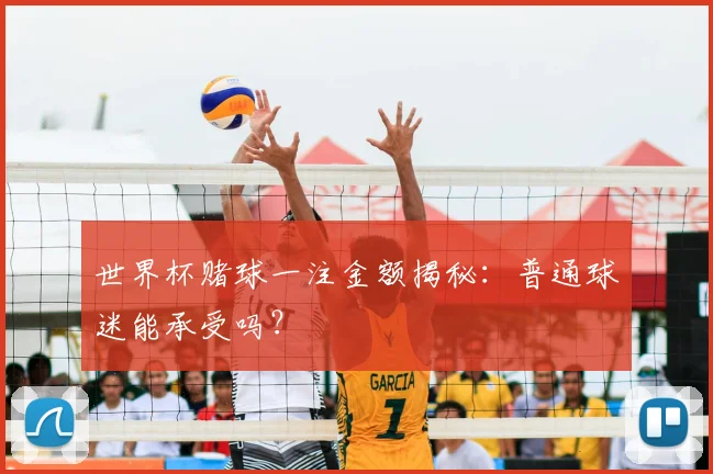 世界杯赌球一注金额揭秘:普通球迷能承受吗?