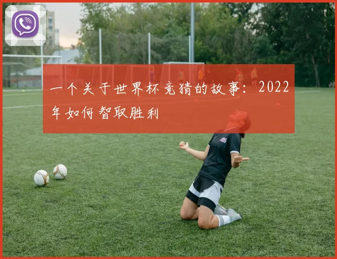 一个关于世界杯竞猜的故事:2022年如何智取胜利