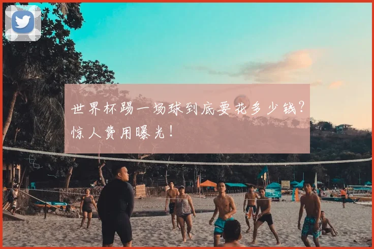 世界杯踢一场球到底要花多少钱?惊人费用曝光!