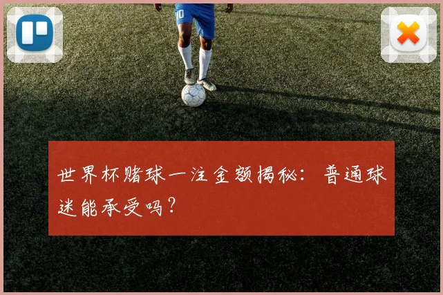 世界杯赌球一注金额揭秘:普通球迷能承受吗?