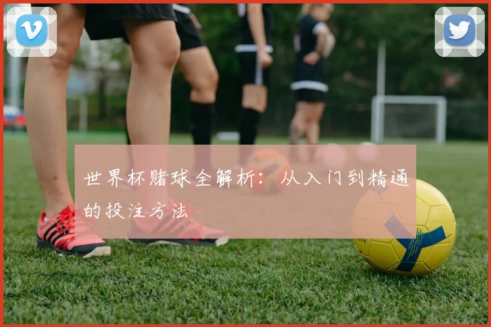 世界杯赌球全解析:从入门到精通的投注方法